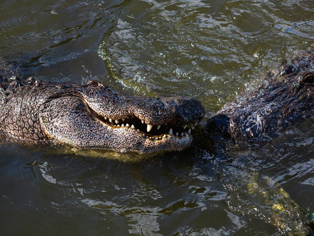 Lake Kissimmee in Kissimmee, Florida