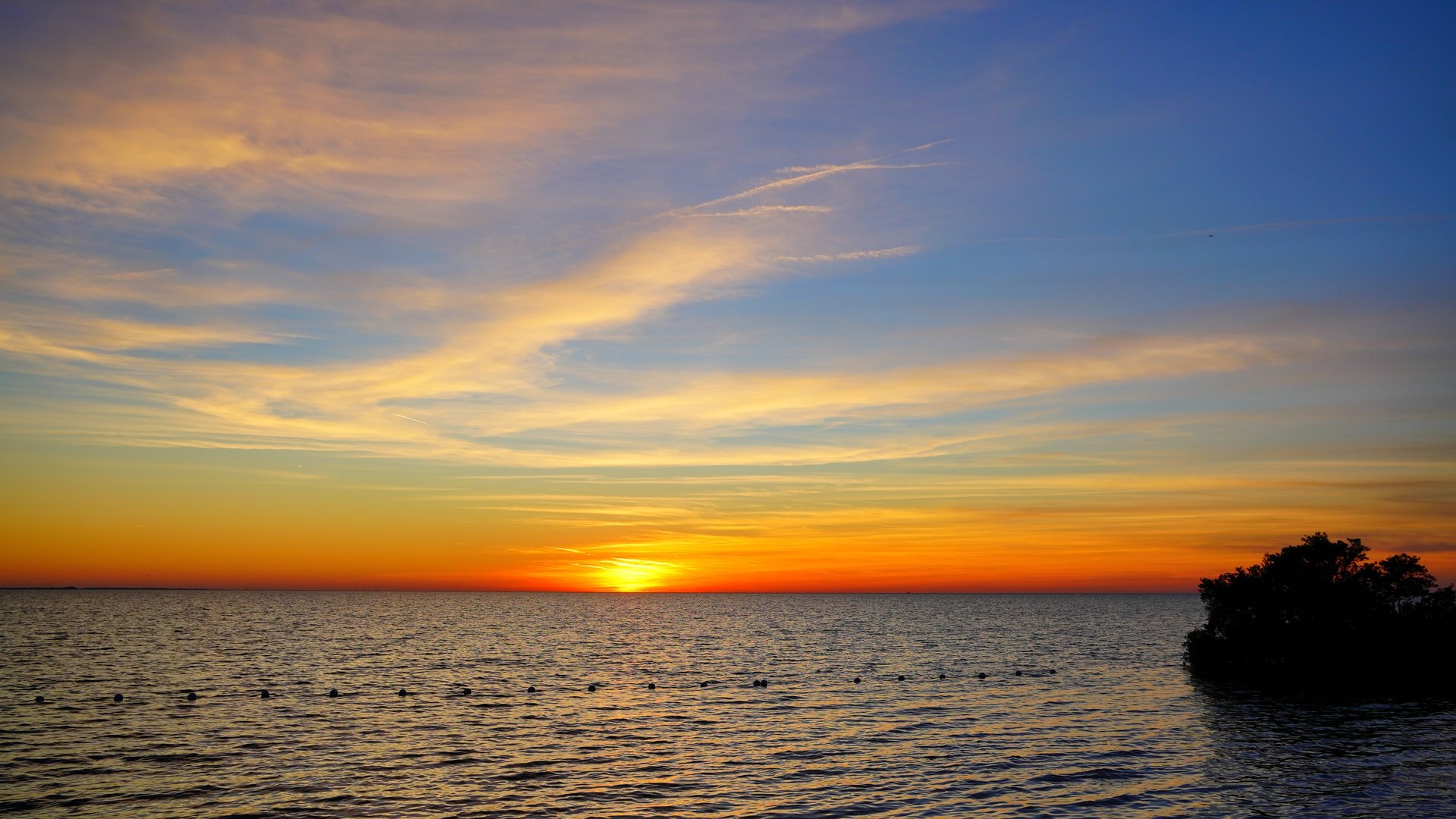 Adult day care centers in Port Richey, FL