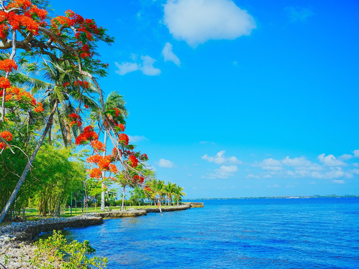 The Edison and Ford Winter Estate along the Caloosahatchee River in Fort Myers, Florida